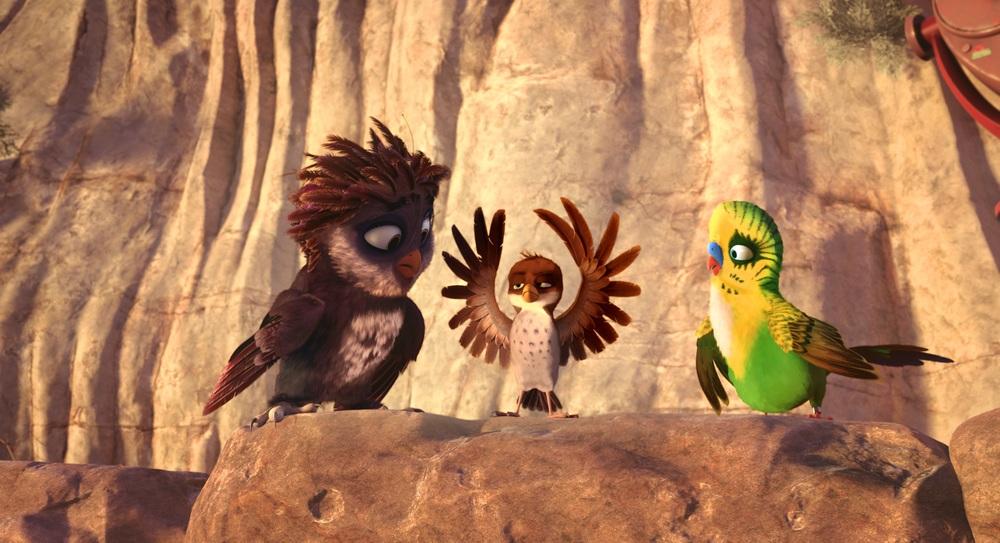 Фото - Трио в перьях: 1000x543 / 85.97 Кб