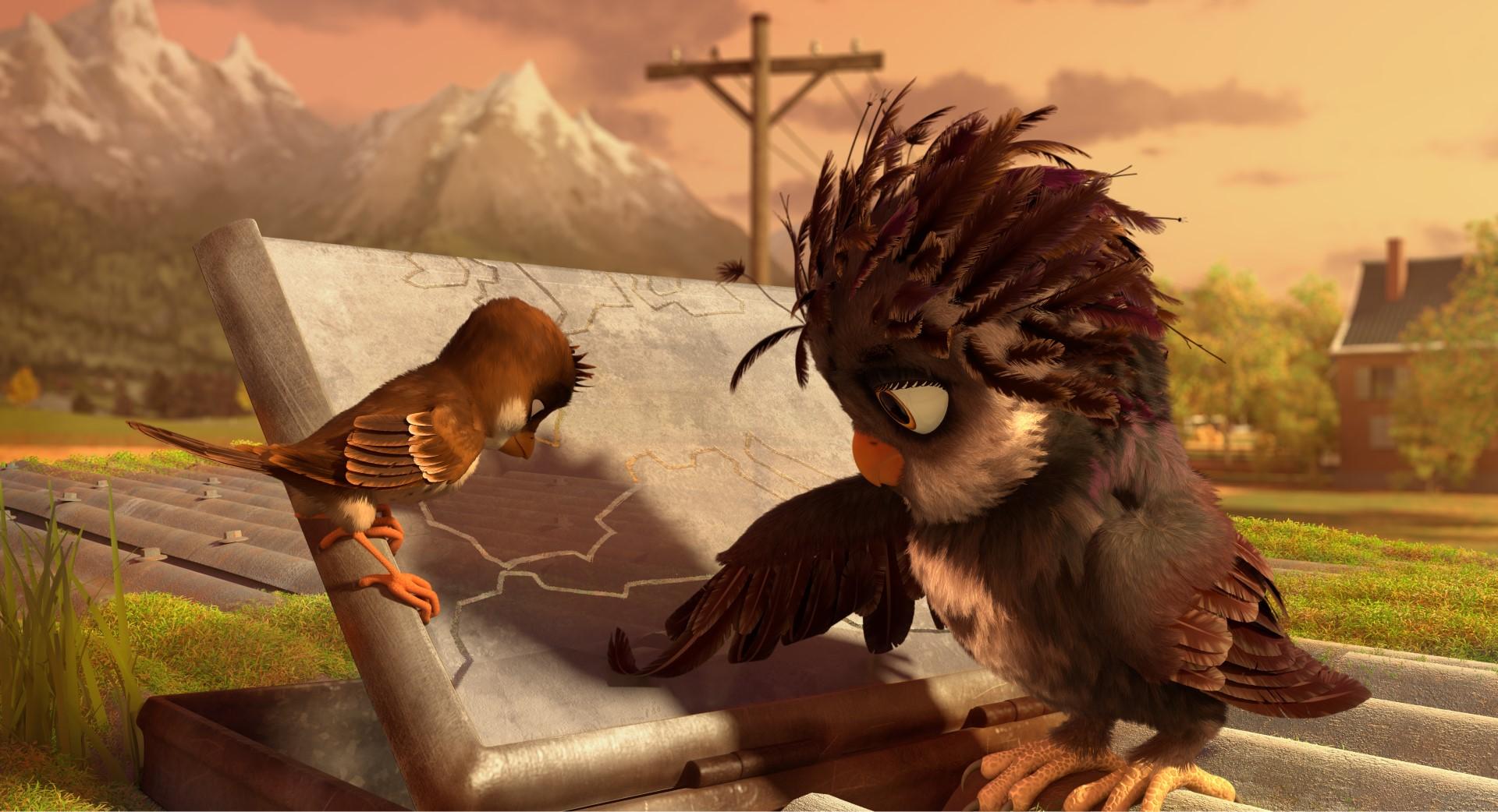 Фото - Трио в перьях: 1920x1042 / 210.21 Кб