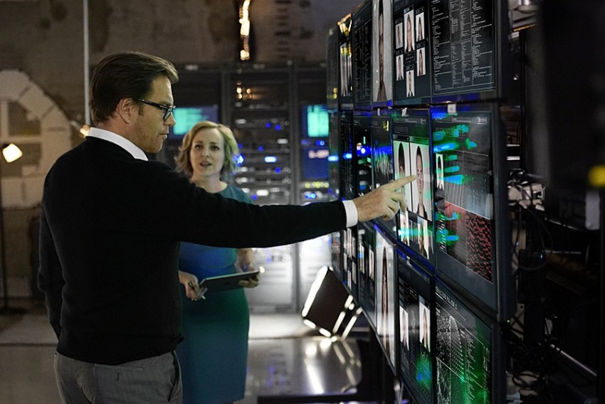 Фото - Мистер Булл: 850x568 / 130.17 Кб