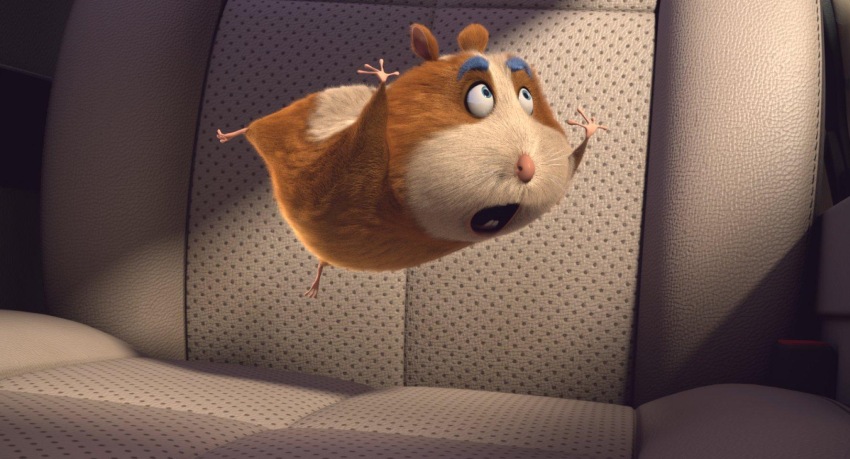 Фото - Зверокрекеры: 850x459 / 114.24 Кб