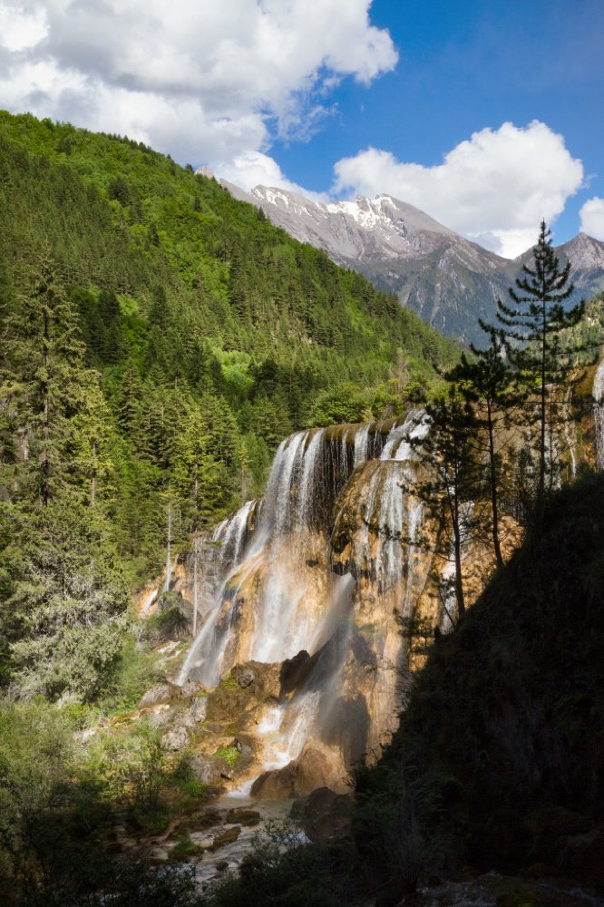 Фото - Рожденный в Китае: 666x1000 / 177.7 Кб