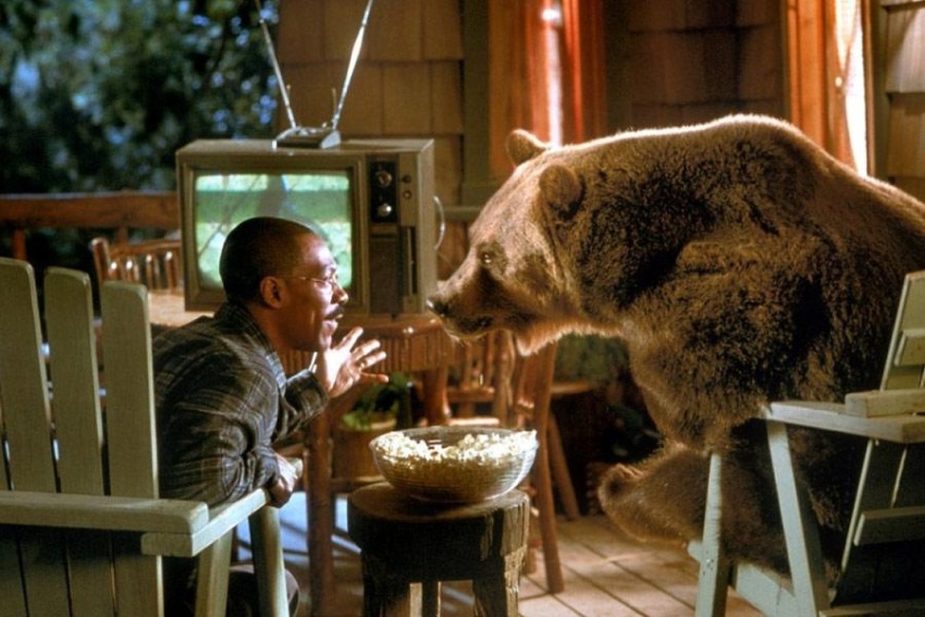 Фото - Доктор Дулиттл 2: 850x567 / 137.29 Кб