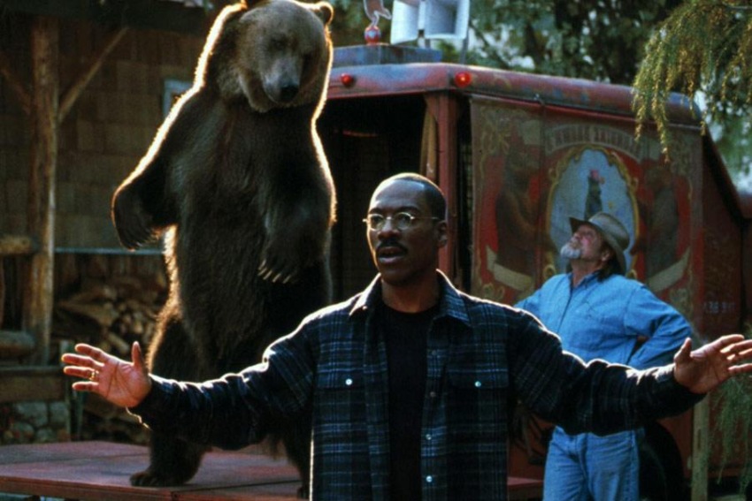 Фото - Доктор Дулиттл 2: 850x567 / 120.75 Кб