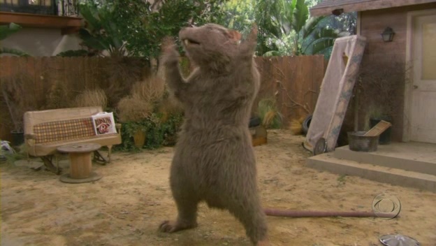 Фото - Да, дорогая!: 624x352 / 67.78 Кб