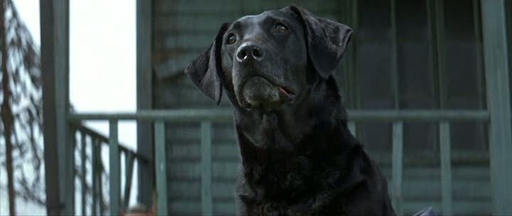 Фото - Битва за Англию: 720x304 / 20.58 Кб