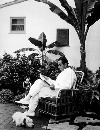 Фото - Хамфри Богарт: 348x450 / 44 Кб