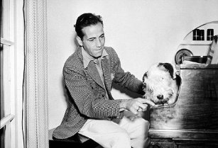 Фото - Хамфри Богарт: 307x209 / 19 Кб