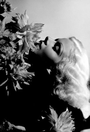 Фото - Джин Харлоу: 307x450 / 24 Кб