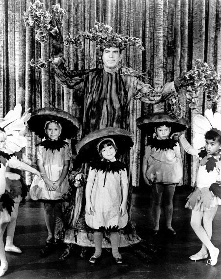 Фото - Фред МакМюррэй: 450x568 / 92 Кб