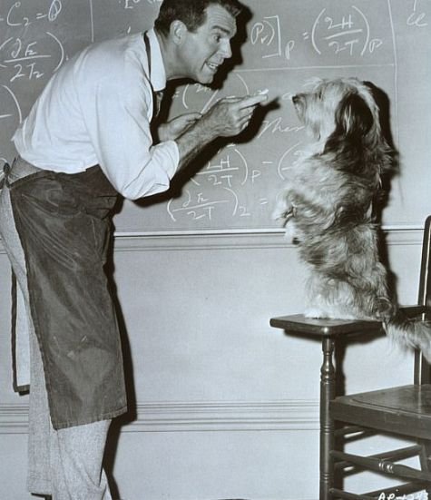 Фото - Фред МакМюррэй: 475x551 / 50 Кб