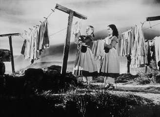 Фото - Элизабет Тейлор: 328x239 / 23 Кб