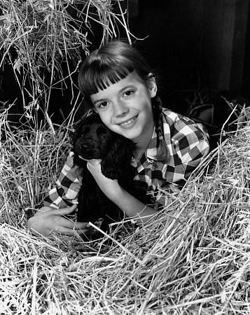 Фото - Натали Вуд: 357x450 / 66 Кб