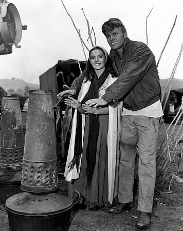 Фото - Натали Вуд: 356x450 / 42 Кб