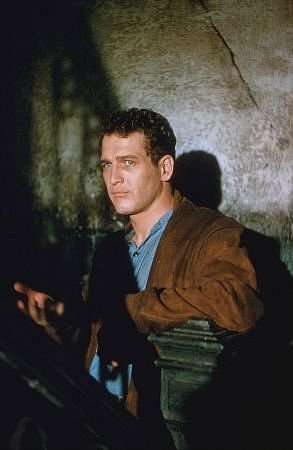 Фото - Пол Ньюман: 293x450 / 21 Кб