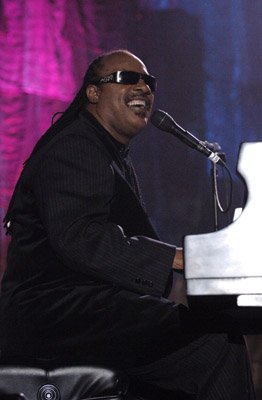 Фото - Стиви Уандер: 262x400 / 18 Кб