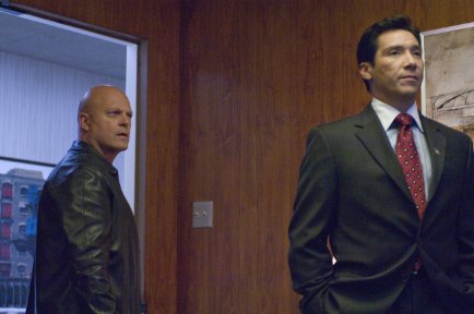 Фото - Майкл Чиклис: 434x288 / 22 Кб