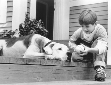 Фото - Кевин Чевалия: 363x277 / 24 Кб