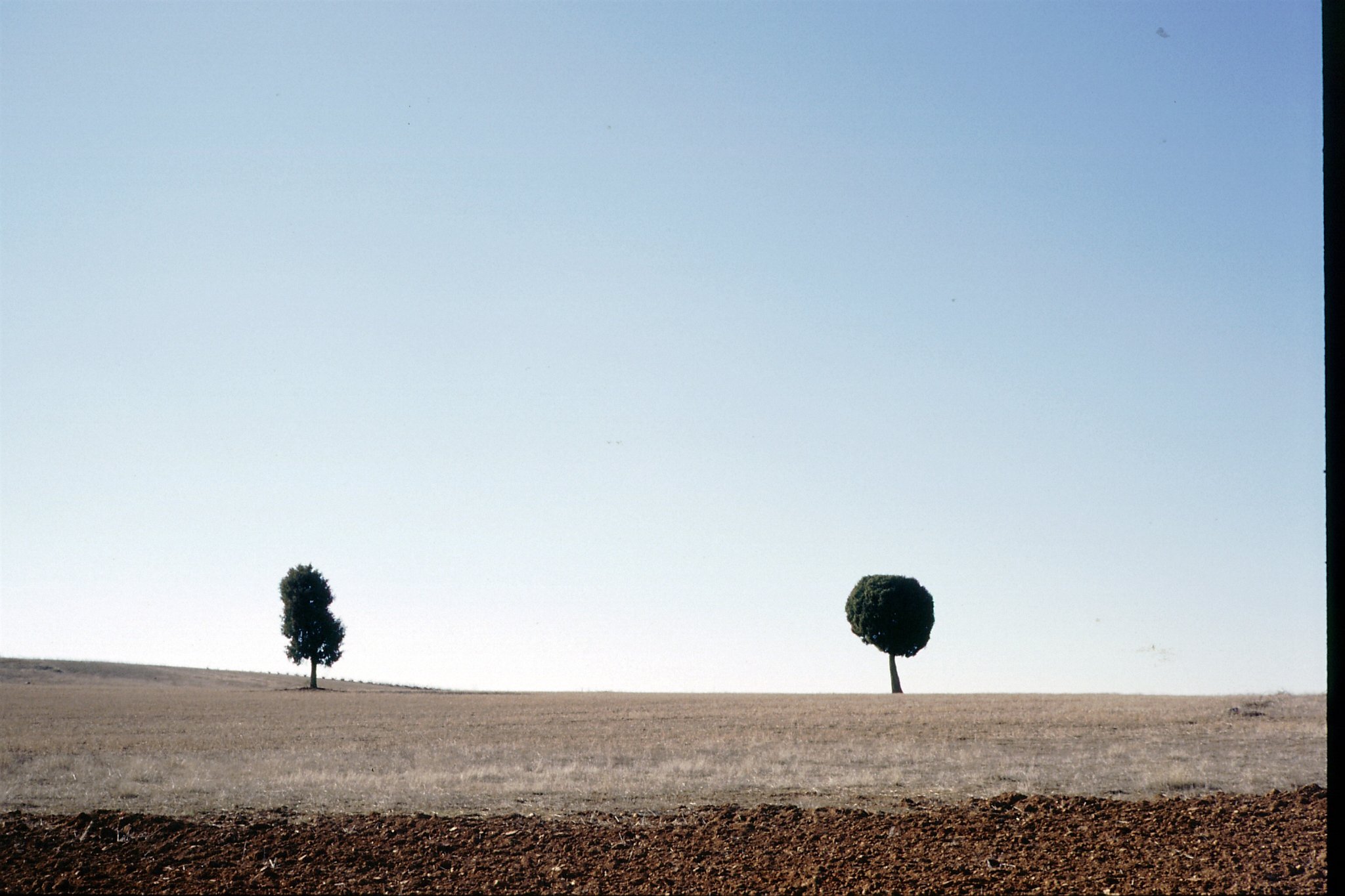 Фото - Ivan Dias: 2048x1365 / 346 РљР±