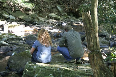 Фото - Elizabeth W. Choate: 480x320 / 52 РљР±