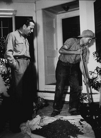 Фото - Хамфри Богарт: 330x450 / 34 Кб