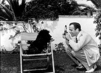 Фото - Хамфри Богарт: 328x239 / 30 Кб