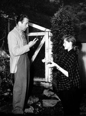 Фото - Хамфри Богарт: 333x450 / 39 Кб