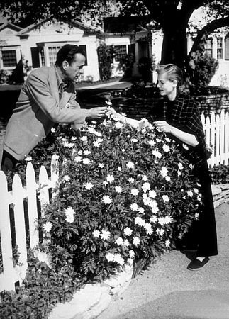 Фото - Хамфри Богарт: 323x450 / 59 Кб