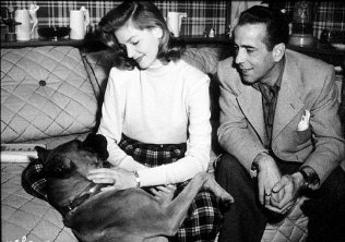 Фото - Хамфри Богарт: 316x222 / 24 Кб