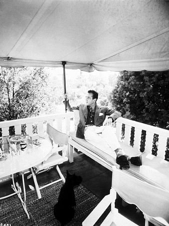 Фото - Хамфри Богарт: 337x450 / 42 Кб