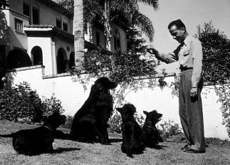 Фото - Хамфри Богарт: 323x232 / 29 Кб