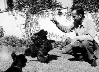 Фото - Хамфри Богарт: 328x239 / 33 Кб