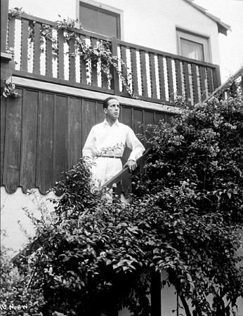 Фото - Хамфри Богарт: 346x450 / 57 Кб