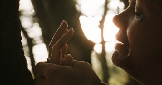 Фото - Берт Пот: 519x275 / 18 Кб