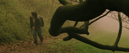 Фото - Берт Пот: 490x204 / 21 Кб