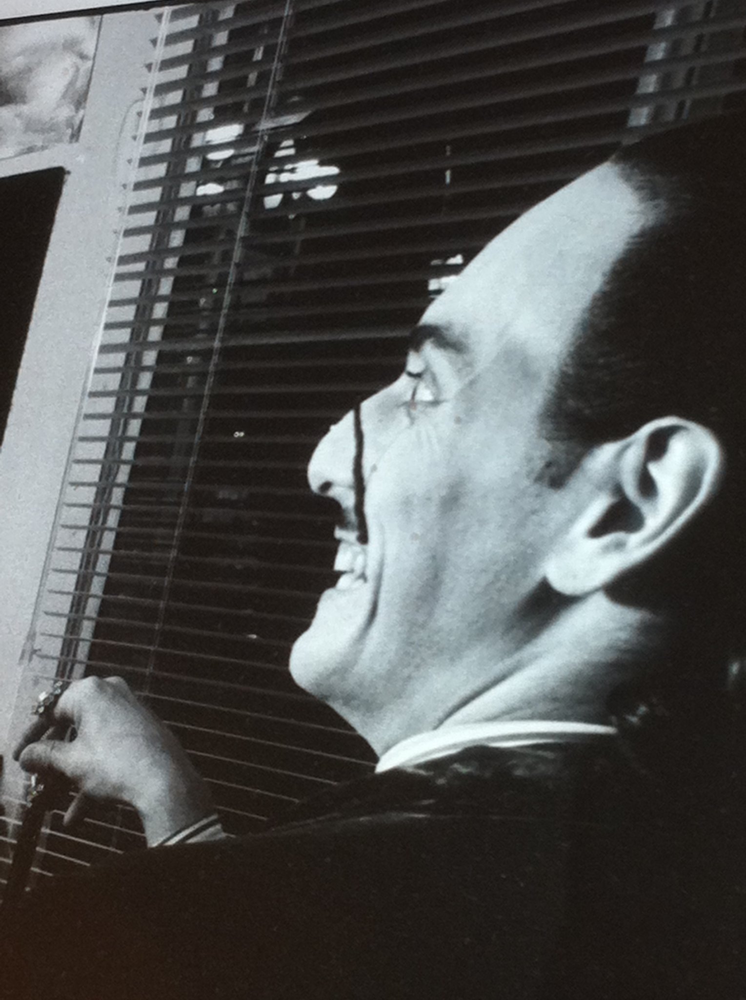 Фото - Венсан Эльбаз: 1529x2048 / 326 Кб