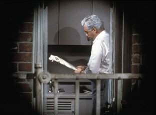 Фото - Рэймонд Берр: 311x230 / 12 Кб