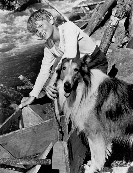 Фото - Гэри Грэй: 425x550 / 70 Кб