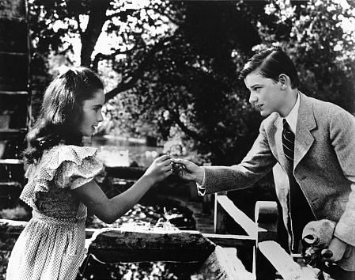 Фото - Элизабет Тейлор: 355x280 / 37 Кб