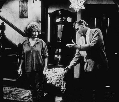 Фото - Элизабет Тейлор: 385x329 / 29 Кб