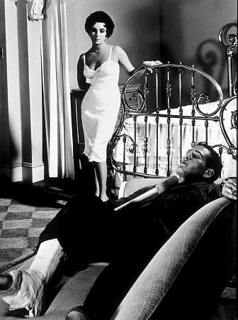 Фото - Элизабет Тейлор: 336x450 / 38 Кб