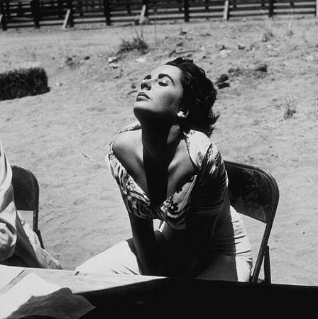 Фото - Элизабет Тейлор: 448x450 / 39 Кб