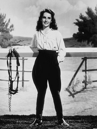 Фото - Элизабет Тейлор: 341x450 / 33 Кб