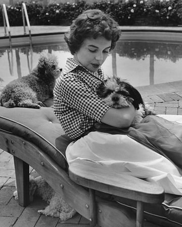 Фото - Джин Симмонс: 360x450 / 41 Кб