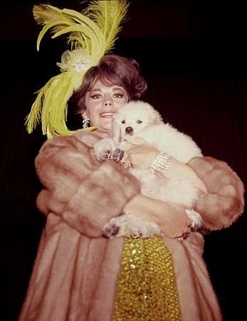 Фото - Натали Вуд: 347x450 / 27 Кб