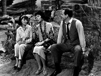 Фото - Натали Вуд: 340x257 / 35 Кб