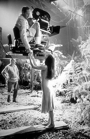 Фото - Мел Феррер: 293x450 / 52 Кб