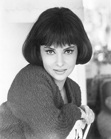 Фото - Джина Лоллобриджида: 361x450 / 30 Кб