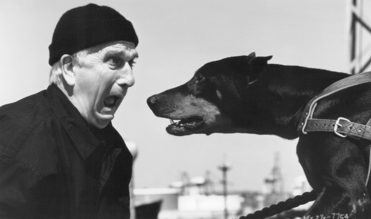 Фото - Лесли Нильсен: 1213x718 / 88 Кб