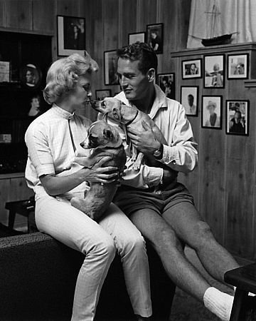 Фото - Джоэнн Вудворд: 360x450 / 39 Кб