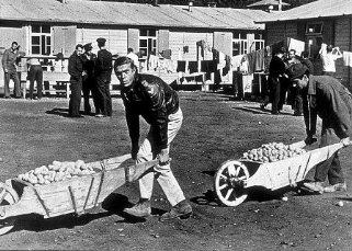 Фото - Стив МакКуин: 321x229 / 33 Кб